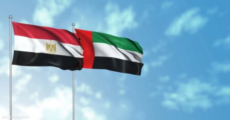 500 مليون دولار قيمة شراكة إماراتية مصرية لتعزيز إمدادات القمح