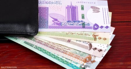 السودان يفقد 6 مليارات دولار سنوياً بسبب تحويلات المغتربين عبر القنوات غير الرسمية السودان يفقد 6 مليارات دولار سنوياً بسبب تحويلات المغتربين عبر القنوات غير الرسمية