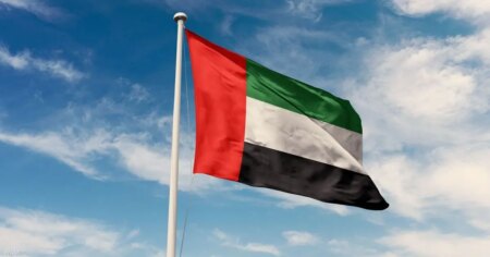 الإمارات تدين الهجوم على قوات حفظ السلام في جنوب السودان الإمارات تدين الهجوم على قوات حفظ السلام في جنوب السودان
