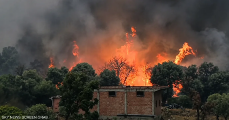 الجزائر تكافح 154 حريقاً اندلعت في يوم واحد الجزائر تكافح 154 حريقاً اندلعت في يوم واحد