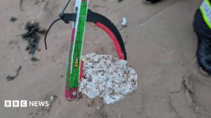 تحذير لأصحاب الكلاب بعد العثور على مواد يشتبه في كونها زيت نخيل على أحد الشواطئ