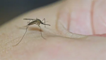 قفزة قياسية في إصابات حمى الضنك بماليزيا وتحذيرات من تفشي العدوى