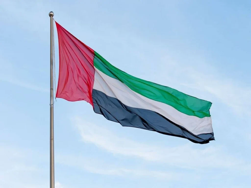 وزارة المالية الإماراتية تصدر قراراً بشأن متطلبات تقديم إقرار معلومات الركيزة الثانية