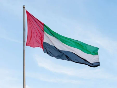 وزارة المالية الإماراتية تصدر قراراً بشأن متطلبات تقديم إقرار معلومات الركيزة الثانية وزارة المالية الإماراتية تصدر قراراً بشأن متطلبات تقديم إقرار معلومات الركيزة الثانية