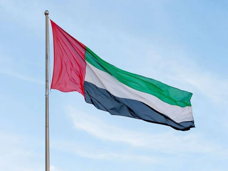 وزارة المالية الإماراتية تصدر قراراً بشأن متطلبات تقديم إقرار معلومات الركيزة الثانية