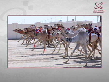 إثارة وندية في السباق التمهيدي الرابع للمهرجان الصيفي للهجن 2026 إثارة وندية في السباق التمهيدي الرابع للمهرجان الصيفي للهجن 2026
