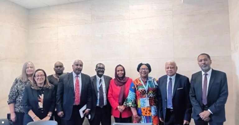 تحقيق مرتقب يكشف تفاصيل الدعم الخارجي للجيش السوداني