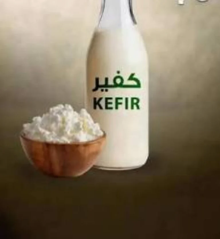 الأطعمة المخمرة: حصن طبيعي لتعزيز صحة الأمعاء