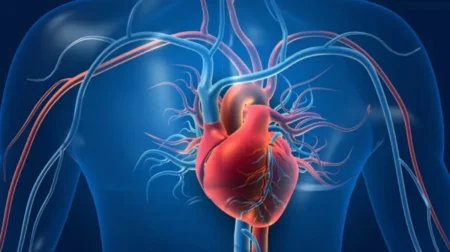دواء جديد يفتح آفاقاً واعدة لعلاج قصور القلب دواء جديد يفتح آفاقاً واعدة لعلاج قصور القلب