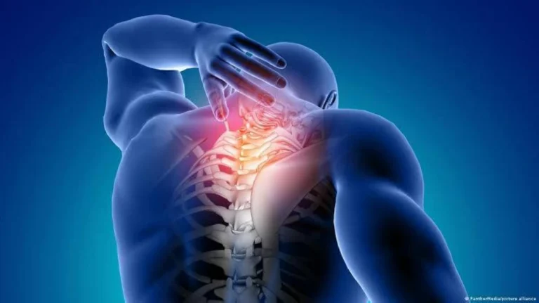 دواء تجريبي جديد ينجح في حماية العظام وتقليل الدهون