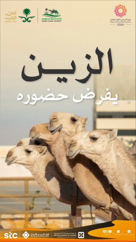 الطائف تستقبل غداً النسخة الثامنة من مهرجان ولي العهد للهجن