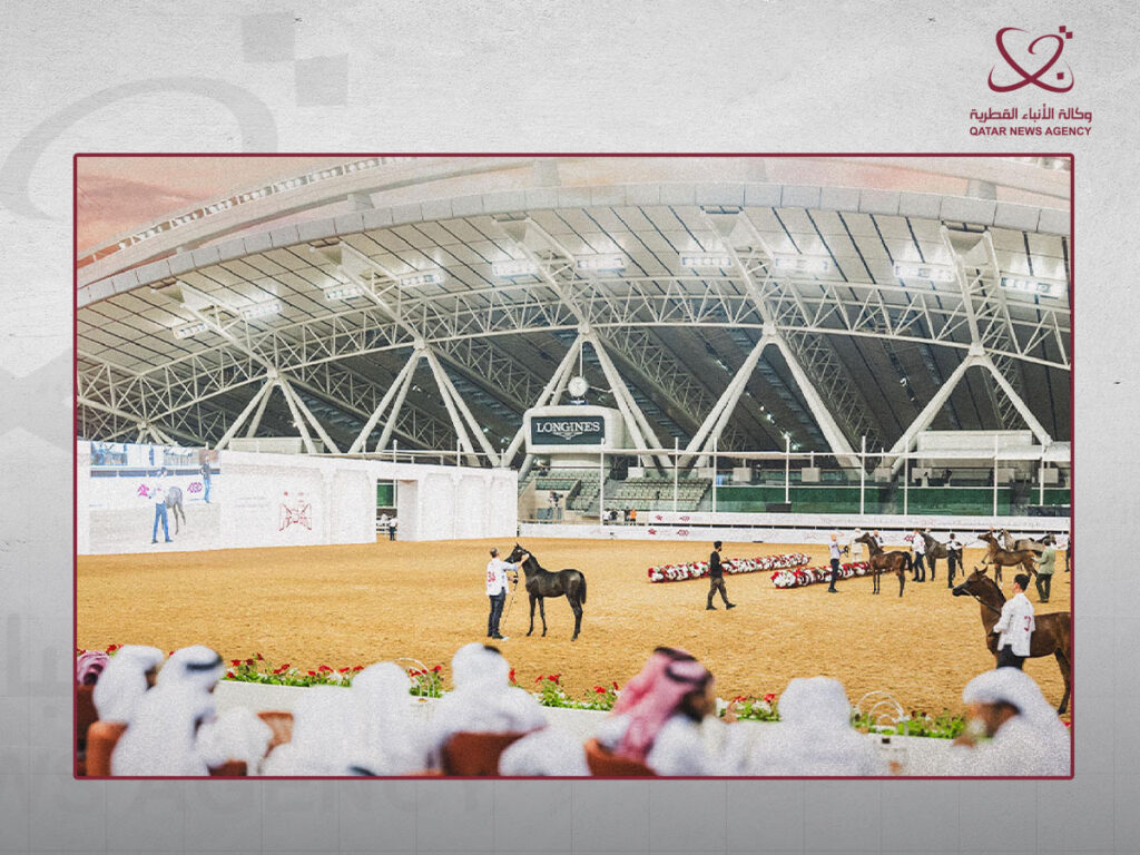 الشقب يحتضن النسخة الرابعة من البطولة الدولية لجمال الخيل العربية في نوفمبر المقبل