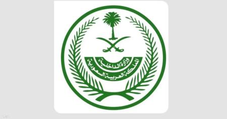 السعودية تكشف النتائج الأولية للتحقيقات في حادثة طائرة فلاي دبي