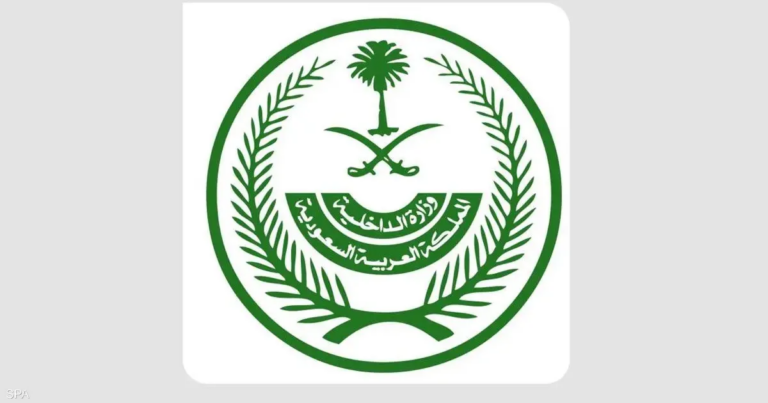 السعودية تكشف النتائج الأولية للتحقيقات في حادثة طائرة فلاي دبي