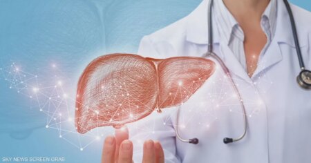 دراسة حديثة تكشف العلاقة بين تناول العشاء متأخراً وصحة الكبد دراسة حديثة تكشف العلاقة بين تناول العشاء متأخراً وصحة الكبد
