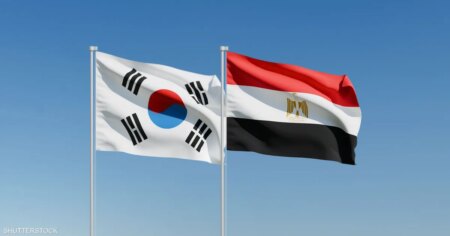 الشرقاوي: مصر تسعى للاستفادة من التجربة الكورية لتعزيز اقتصادها