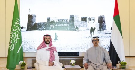 منصور بن زايد يستقبل خالد بن سلمان لبحث العلاقات الثنائية