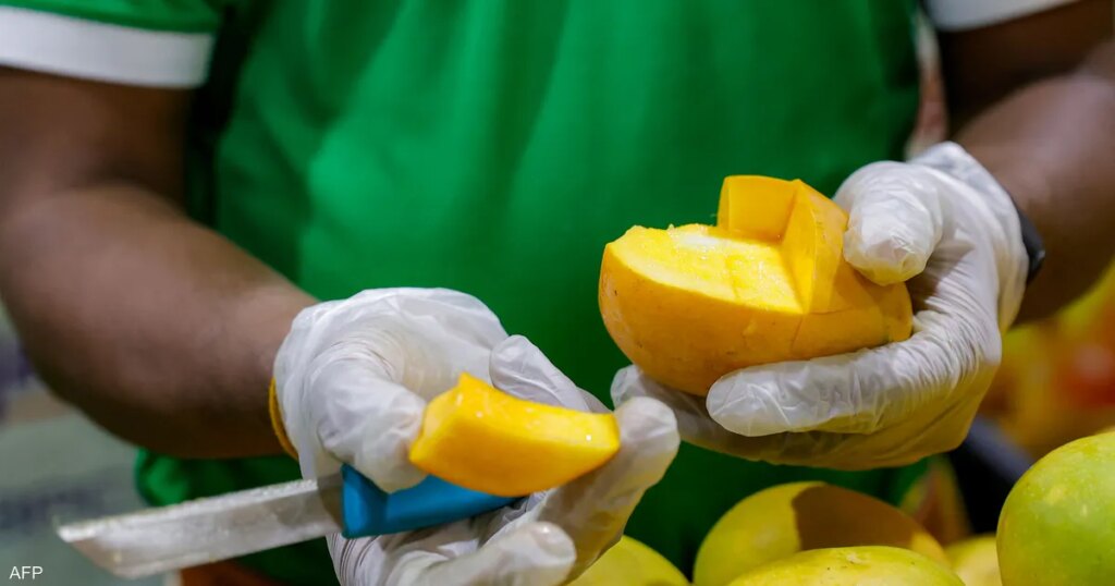 شرط أساسي لتناول مرضى السكري فاكهة المانغو بأمان