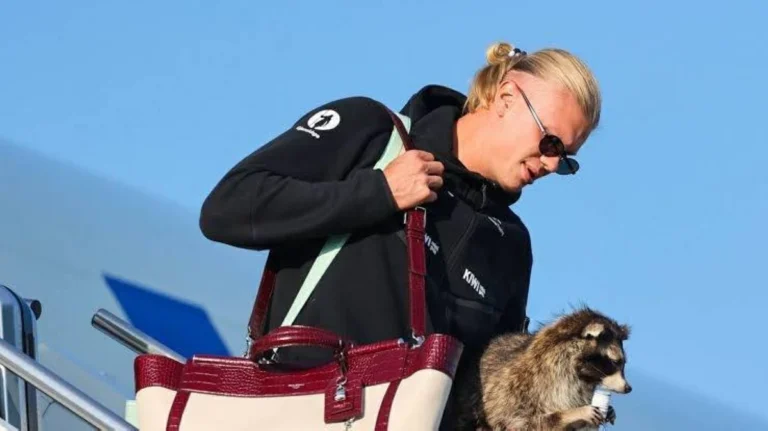 هالاند يقاضي شركة طيران نرويجية بسبب تسريحة شعره هالاند يقاضي شركة طيران نرويجية بسبب تسريحة شعره