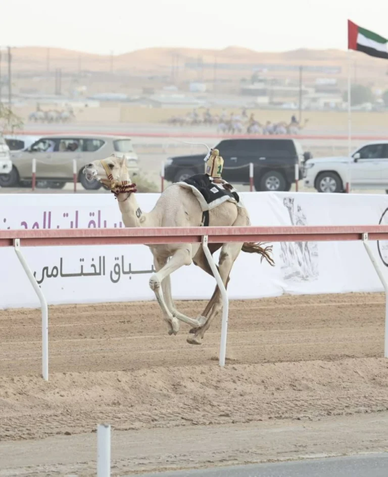 «ود» تخطف كأس الثنايا و«السريع» يظفر بالبندقية في مهرجان العين «ود» تخطف كأس الثنايا و«السريع» يظفر بالبندقية في مهرجان العين