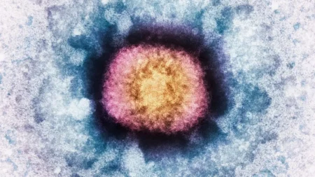 اكتشاف جين بشري داخل فيروس في سابقة علمية اكتشاف جين بشري داخل فيروس في سابقة علمية