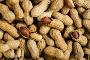 تناول الفول السوداني يعزز استجابة دماغ كبار السن للأنسولين
