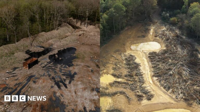 إنفاق 15 مليون جنيه إسترليني لتنظيف موقع نفايات غير قانوني في غابة أثرية